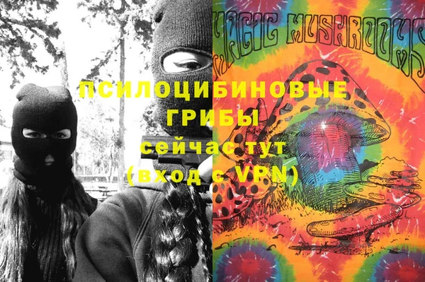 соль ск Щигры