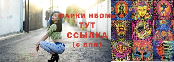 стафф Щучье