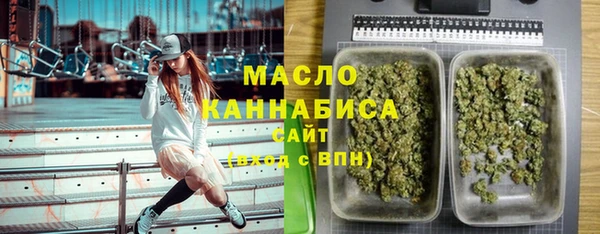 соль ск Щигры