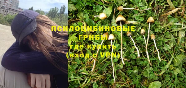 соль ск Щигры