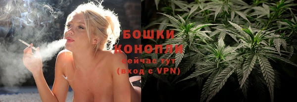 соль ск Щигры