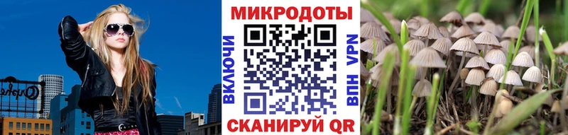 Галлюциногенные грибы Psilocybine cubensis Иркутск